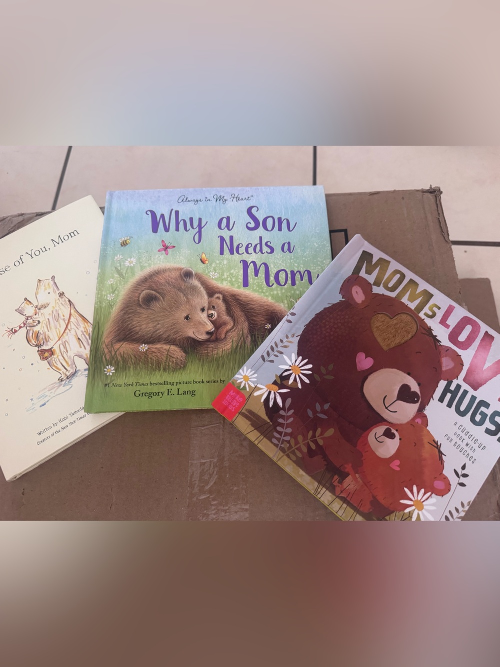 Why a Son Needs a Mom - Children's Picture Books Mother’s Day mom books